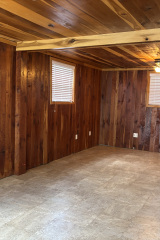 den-3